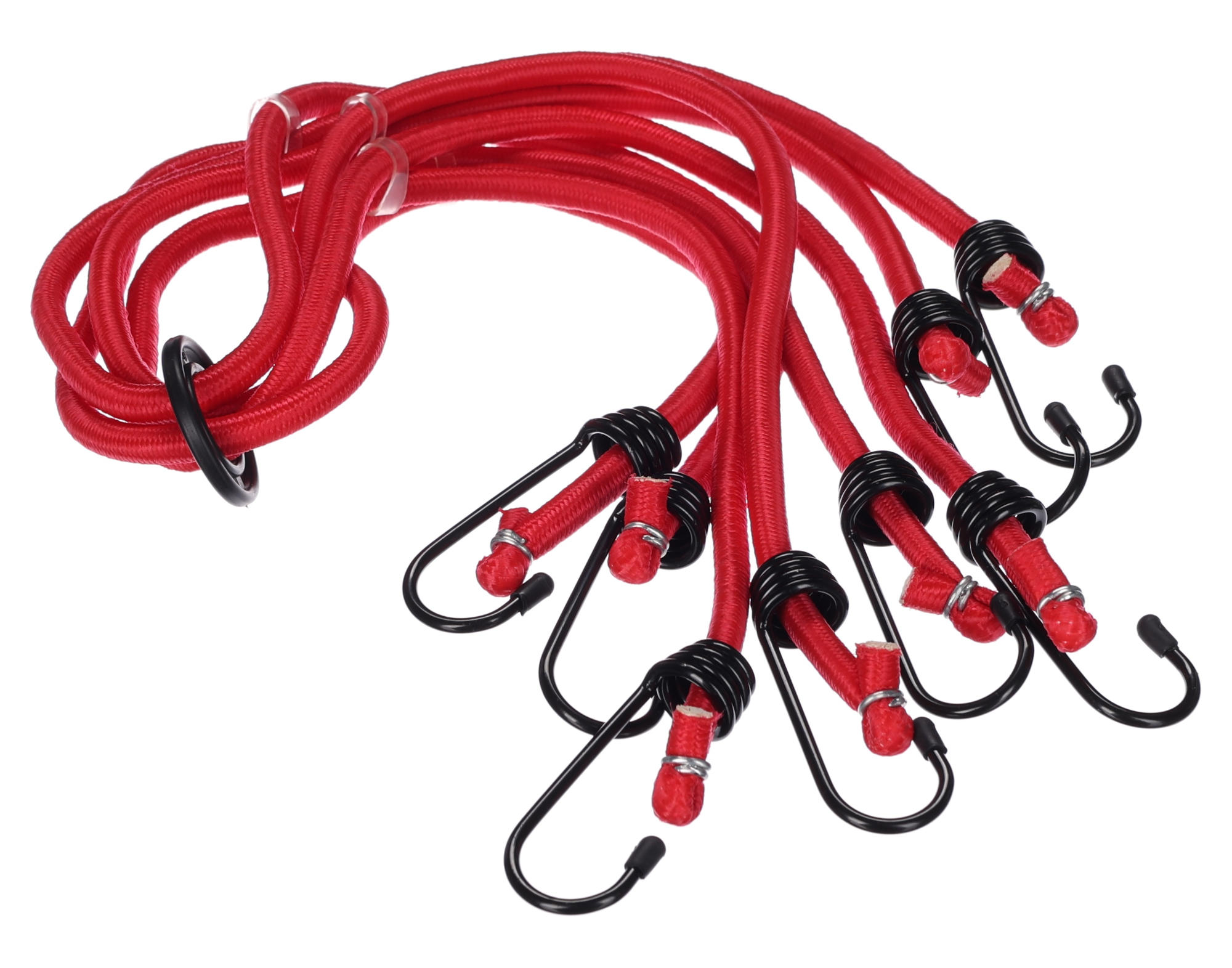Fotografie produktu: Sixtol Gumové upínací popruhy/gumicuky pavouk CARGO CORD SPIDER BASIC 120, 120cm, 8 ramen